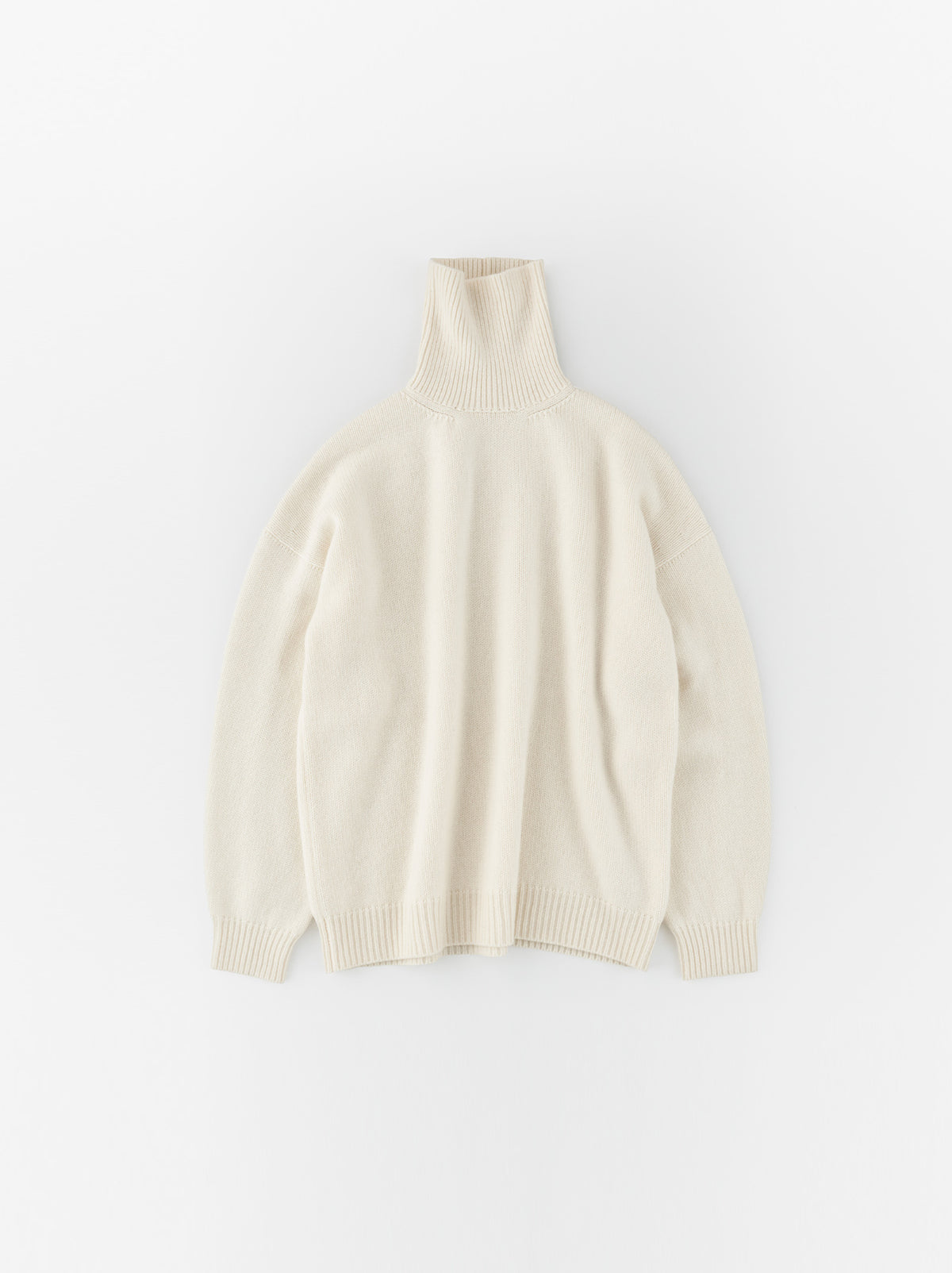 0223U8021K031_Back-line-turtle