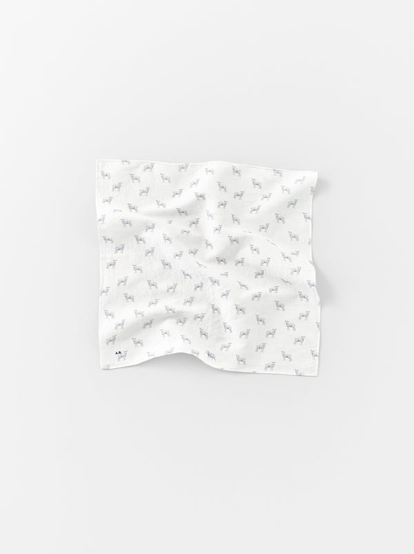 DAILY CLOTHS – ARTS&SCIENCE ONLINE SELLER